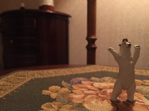 しろくまのおへそ