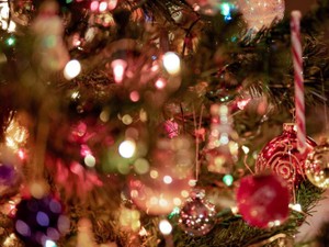 カップルばかりのクリスマスの恵比寿。一人で楽しめると信じたかった