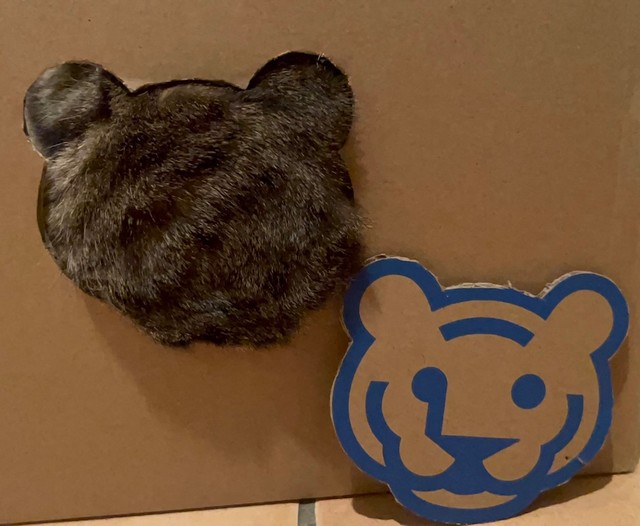 きじトラ（タイガー）（画像提供：宗方脩さん）