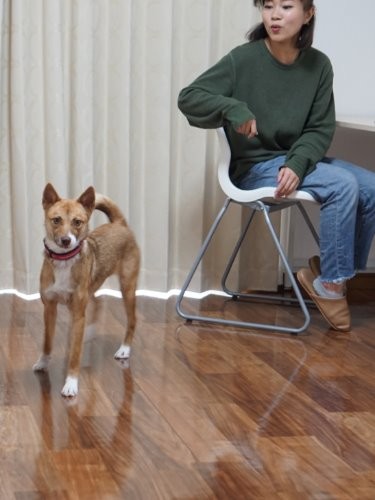 個室にはテーブル、椅子、ベッド、タンス等が付いている