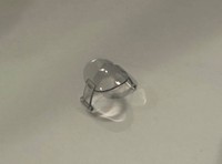 家の中で謎のプラスチックパーツを発見／カーラキャットカフェさん提供