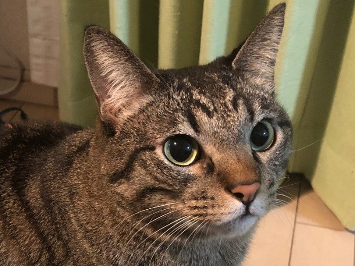 幼い表情が可愛い