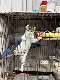 若手のホープ豆介 新しい環境にもすぐ慣れた？（画像提供：三協精器）