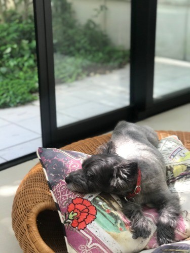 お気に入りの場所