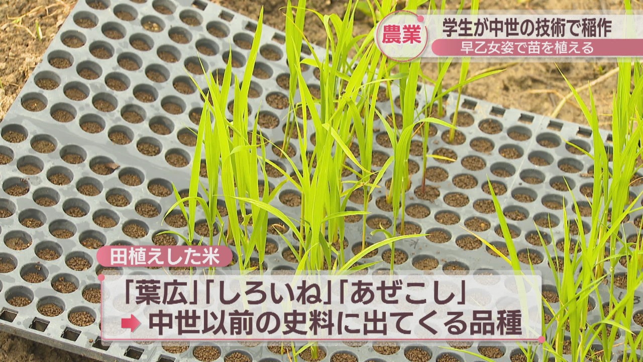b817aecfd96af5b03737d9d0a997b6