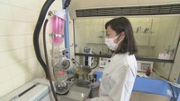 食品メーカーと新商品開発も！食品研究に取り組むお母さん　香川【おしごとみせて】