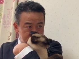 紳士服店で犬・猫の譲渡会　社長と猫との出会いから始まった