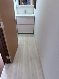 （わーさん提供）