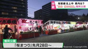 開花はいつ？　仙台市の桜の名所　榴岡公園で桜まつり開催中