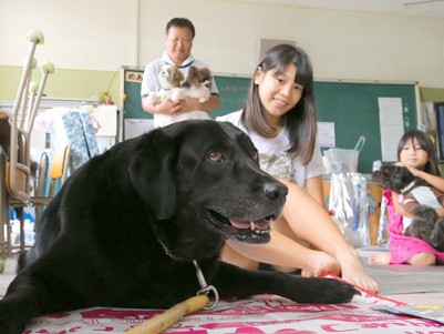 ペットと避難、一歩前へ取り組み　環境省がガイドライン