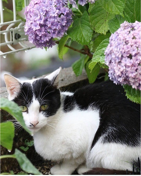 庭にいたころこんなに警戒していたもんちゃん