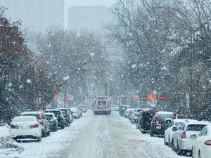 人が住む場所じゃない寒さの冬に蝕まれる道民は、春には手の平を返す