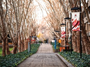 母校は 「スパルタ兵養成所」。卒業してその魅力がわかった
