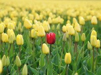 あの日、久しぶりに実家に帰った日の違和感は、私の成長だった