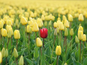 あの日、久しぶりに実家に帰った日の違和感は、私の成長だった