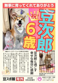 飼い主さんによる誕生日の号外！ 6歳を迎えた豆次郎くん（画像提供：しばわんこさん）