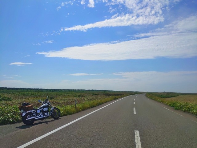 オロロンライン（提供画像）