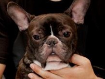 DJ MITSU THE BEATSが愛ブヒを題材にアルバム