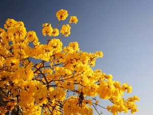 おいしい＝心が喜ぶこと。年末年始の6連勤、カレーパンに救われた心