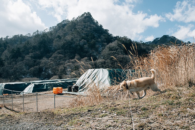 「マリ」と散歩に出発して数分。放射性廃棄物の山がそびえ立つ（2018年2月22日撮影）