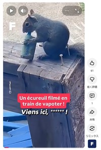 SNSに投稿された電子タバコをかじるリス