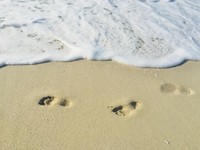 スマホから離れられない。だからこそ、隙間時間でデジタルデトックスを