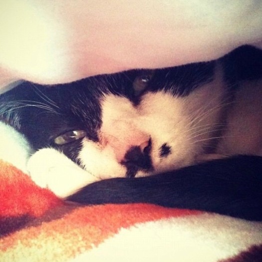 過ごした時間は短くても、坂本さんに大きな影響を与えた楳ちゃん
