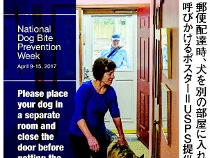 アメリカも荷物増加　郵便配達で犬に襲われるケースが激増