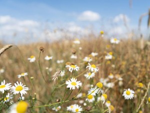 家族はクールと言い、友人は面白いと言う…私を「○○な人」と絞る必要はない