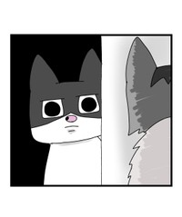 【漫画】『自称ボス猫VS最強猫！結果は…！？』11（まんぼう！さん提供）