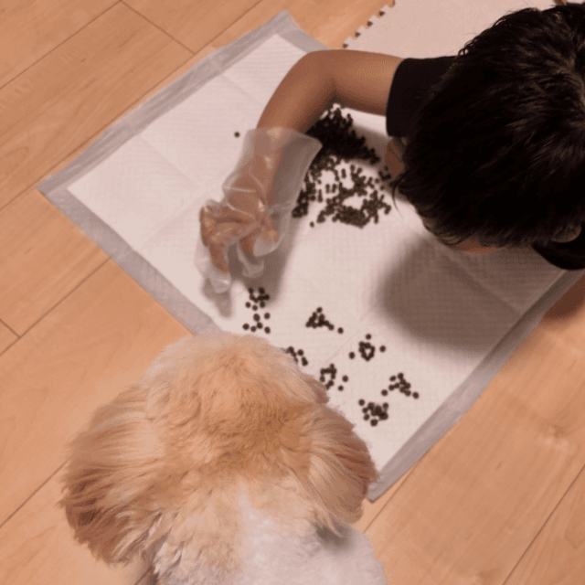 多い日は400個以上！ 根気のいる作業 画像提供：もふろぐ