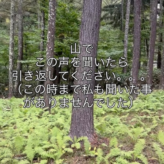 「山でこの声を聞いたら引き返して」（動画からキャプチャー／提供：投稿者さん）