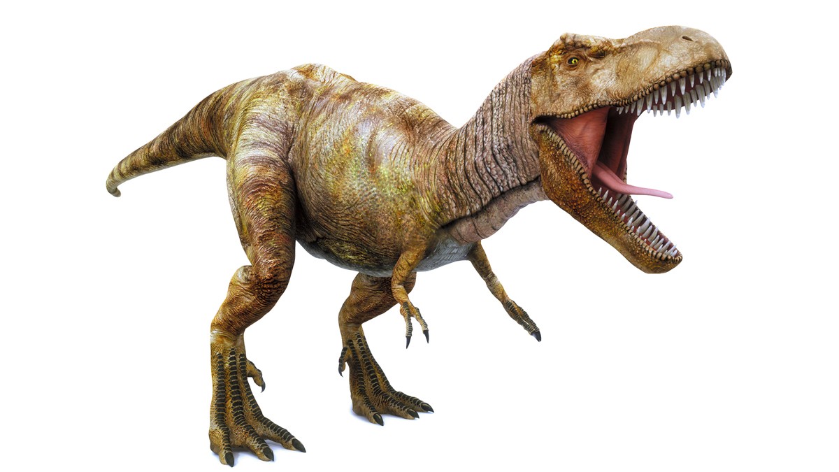 自然を傷め、自分の絶滅を早めている私たち 恐竜の運命から何を学ぶ 