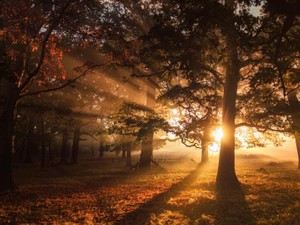 就活がうまくいかず、途方に暮れていた22歳の私。28歳の私から伝えたいこと