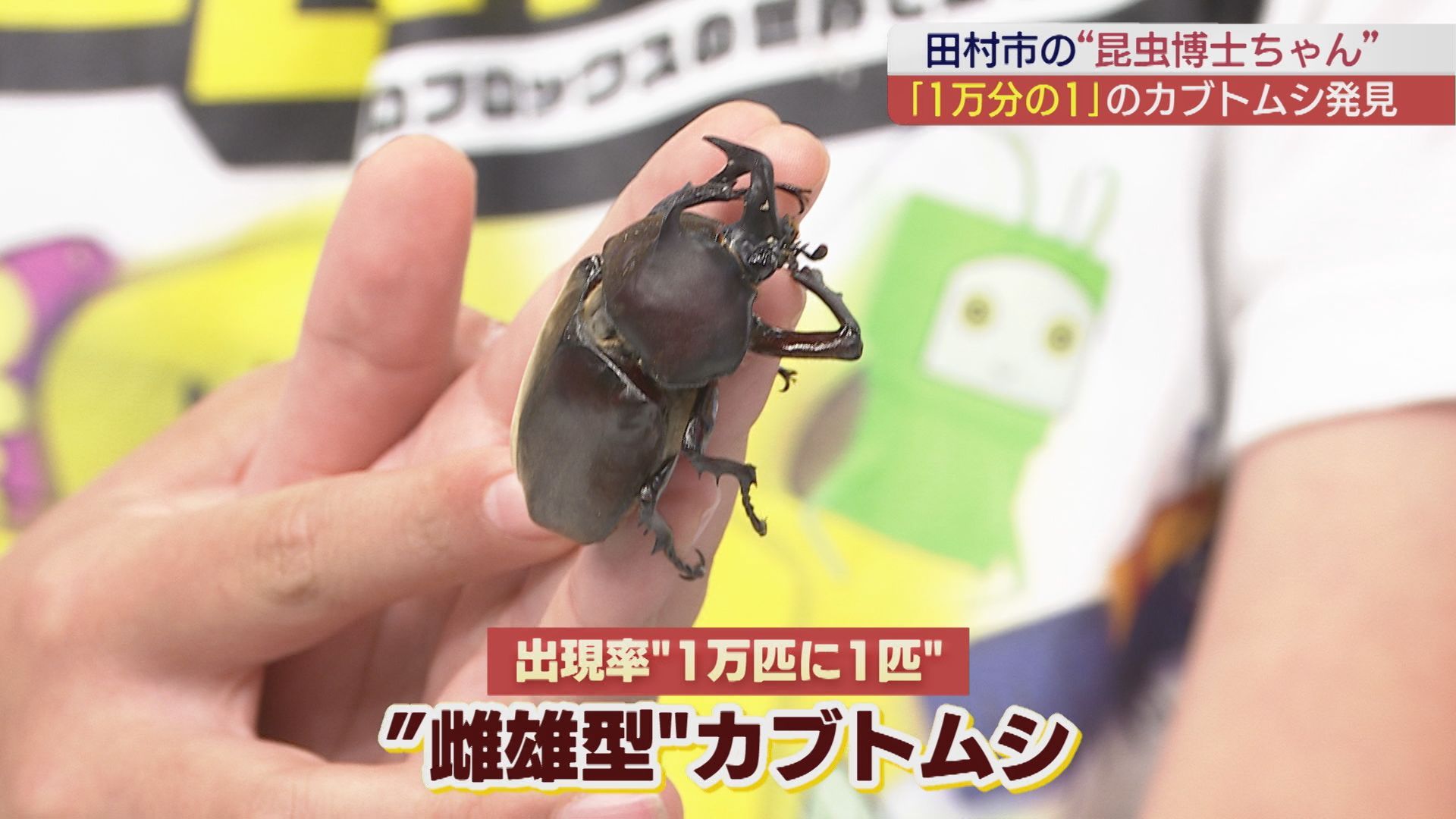 出現率は1万分の1の激レア「カブトムシ」が！ ムシムシランドは