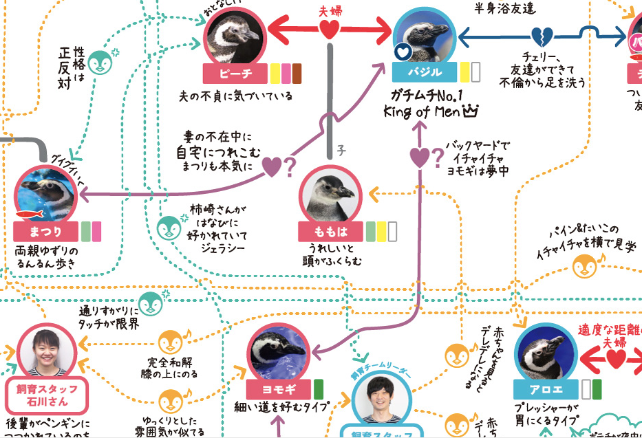 すみだ水族館のペンギン相関図。妻がいるもののモテるヨモギ（画像提供：すみだ水族館）