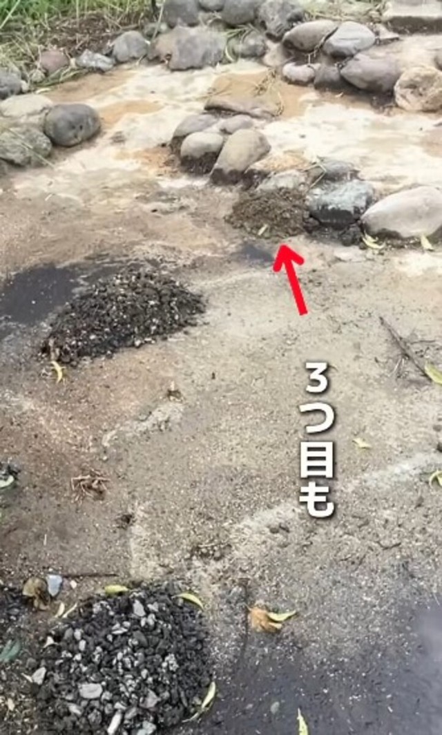 翌朝、なんと石の山が増えている…！ ／かずみさん（@ig.kazumi）提供