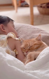 2歳になったひなたんと4歳になったマル／ひなまるchannelさん（@hinamaru_channel）提供