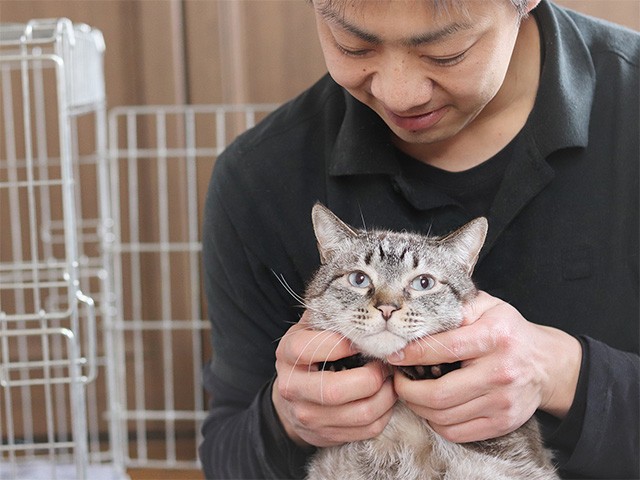 視覚障害の男性、支え合い猫のＴＮＲ活動 猫の搬送にはタクシー  犬 