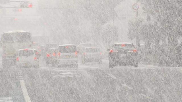 岡山県北部で警報級の大雪　岡山市内でも雪が