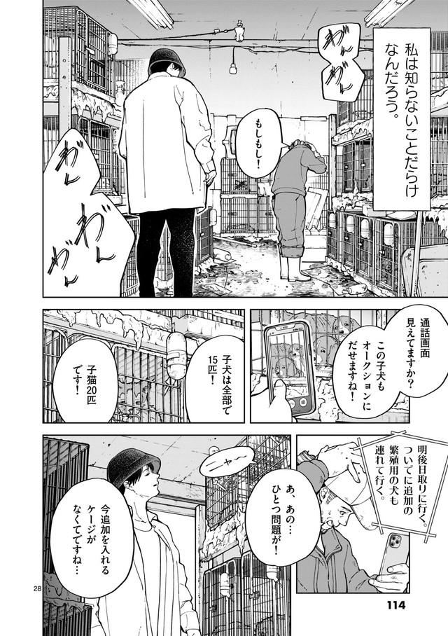 【漫画】『イヌの街頭募金、あなたは払う？払わない？』28(C)常喜寝太郎／小学館