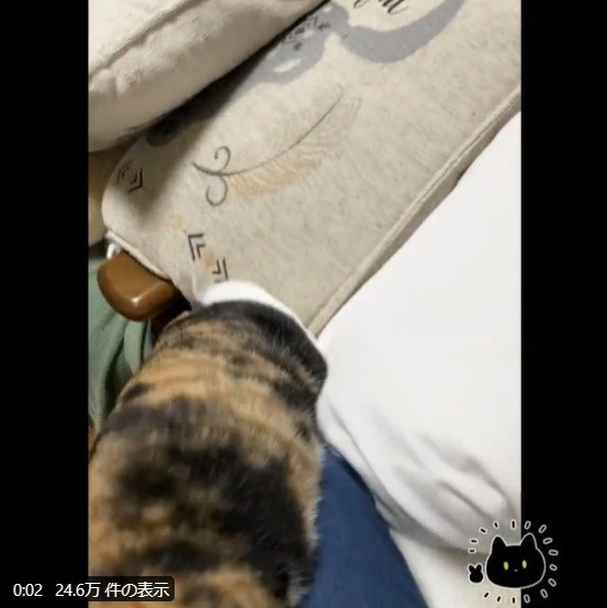 勢いあまって…（AKRさん提供）