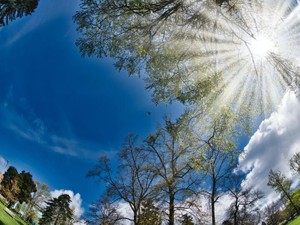 「もっと頑張らなくちゃ」。やらなくちゃ症候群だった私が渡米した話