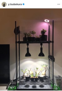 坪倉由幸（@y.tsubokura）さんのインスタグラムより