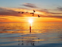 恋に飛び込んだ。君の彼女になれたのは決死の覚悟と勇気のおかげ