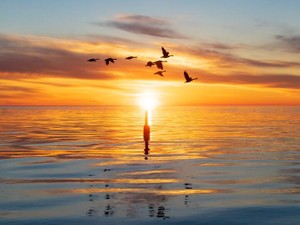 いつか変えてみたい、ワクワクする。名字が変わる＝新時代の幕開け