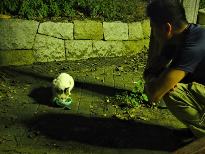 見守ってやると、安心して食べる。食べ終わった後はきれいに片付ける。