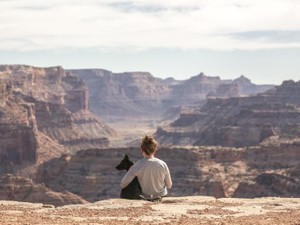 あの世で裁判にかけられ、生前飼っていたペットが証言台に立つらしい。そこで会いたい
