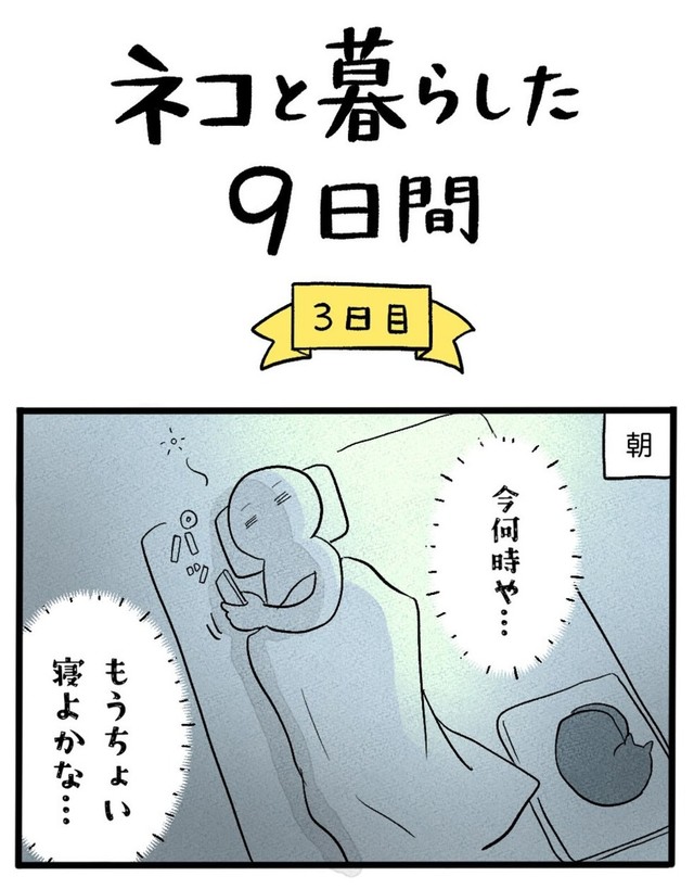 【漫画】『ネコと暮らした9日間』47（イゴカオリさん提供）