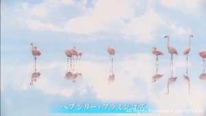 宮城・石巻市出身の自然写真家　高砂淳二さん写真展